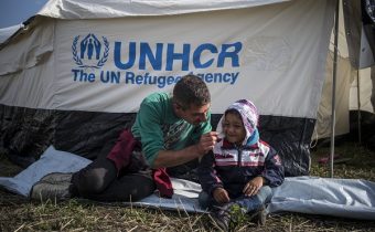 Alto Commissariato delle Nazioni Unite per i Rifugiati (UNHCR)