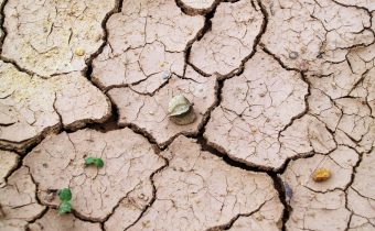 La Terra deve essere al centro di qualunque nostra pianificazione