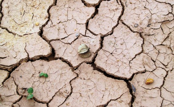 La Terra deve essere al centro di qualunque nostra pianificazione